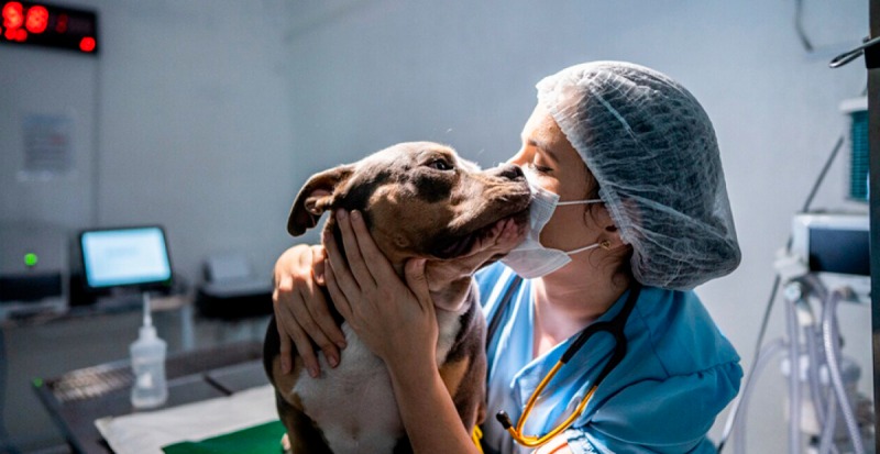 Impulsan una guardia veterinaria municipal en Olavarr�a